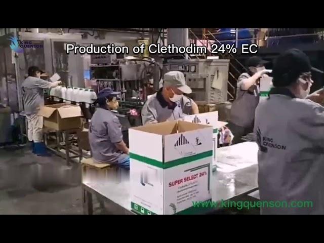 King Quenson Production Of Clethodim 24%EC