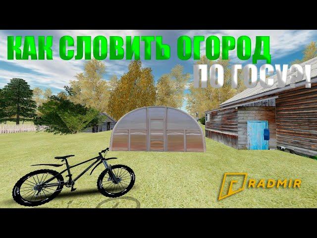 КАК СЛОВИТЬ ОГОРОД ПО ГОСУ?! КОГДА СЛЕТАЮТ ОГОРОДЫ?! НА RADMIR CRMP! ОБНОВЛЕНИЕ 5.2!