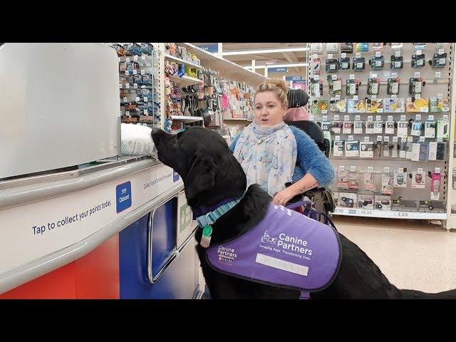 Assistance Dog Transforms Disabled Owner's Life