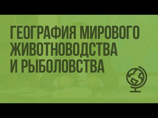 География мирового животноводства и рыболовства. Видеоурок по географии 10 класс