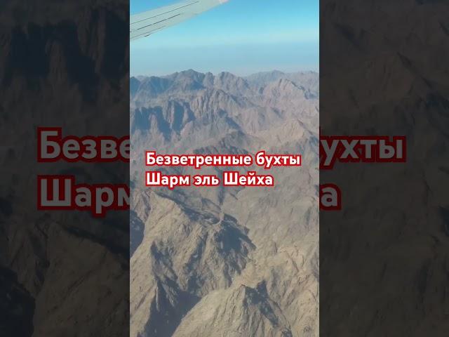 Куда лететь на отдых зимой. Безветренные бухты Шарм эль Шейха. #египетотдых #море #египет #отпуск
