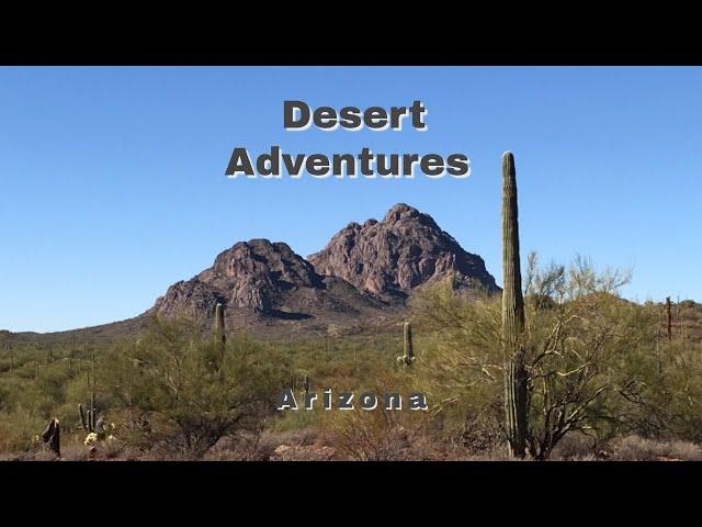 Desert Adventures in Arizona