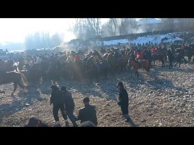 Бузкаши дар дехаи Чорбог.Ш.Панжакент.21.12.2024.