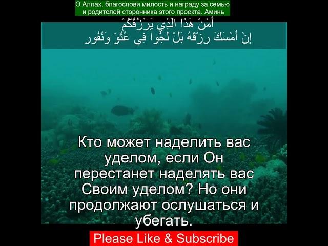 Сура Аль Мульк |67:21 |Чтение Корана с русским переводом| Quran Translation Surah Al Mulk