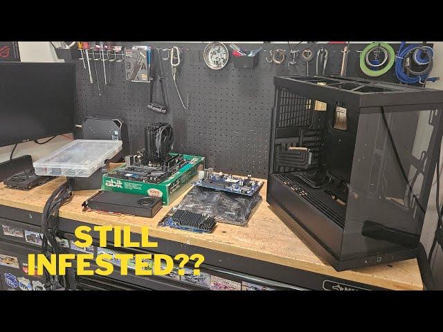 Will I recover from my infested PC parts haul??