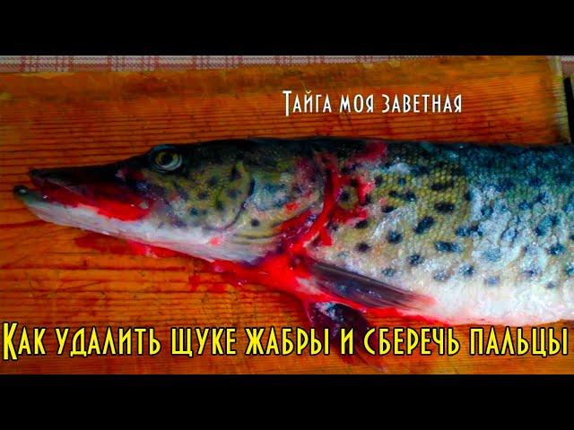 Как удалить щуке жабры и сберечь пальцы. Просто и эффективно English translation ⬇