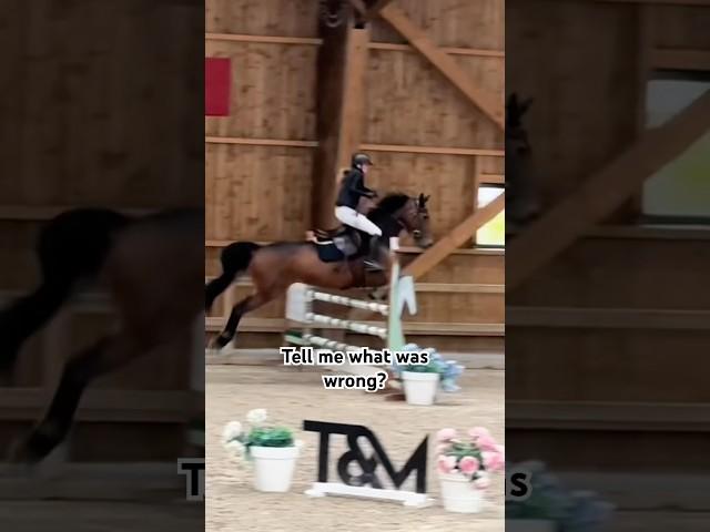 What’s wrong? Ctto:elena #horse #horseriding #equestrian #viralshorts #fyp #trending #amazing