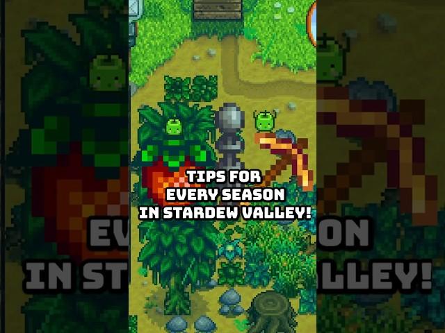 Tips & Tricks For Each Season In Stardew Valley  #stardewvalley