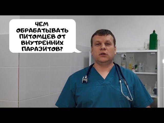 ЧЕМ ОБРАБАТЫВАТЬ ПИТОМЦЕВ ОТ ВНУТРЕННИХ ПАРАЗИТОВ?