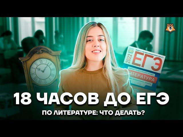 18 часов до ЕГЭ по литературе: что делать? | Литература ЕГЭ 2022 | Умскул