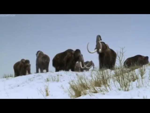 ICE AGE Walking With Beasts BBC