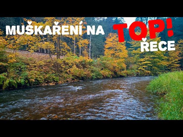 Fishing for grayling and other small fish on the TOP Czech river