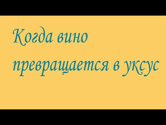 Превращение вина в уксус. Причины, признаки и способы исправления