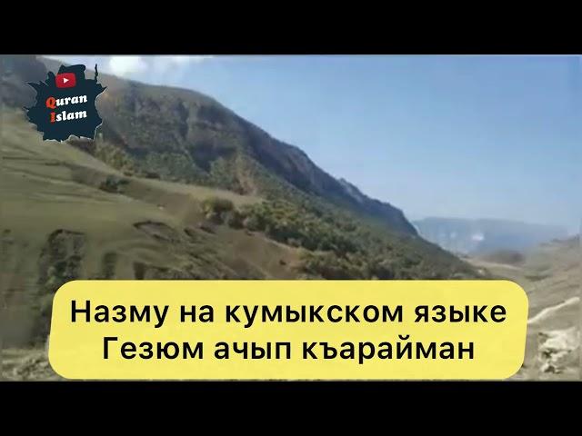 Нашид на кумыкском языке Гезюм ачып къарайман