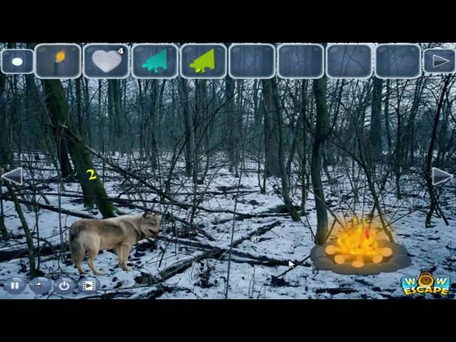 Wow Wolf Forest Escape walkthrough .