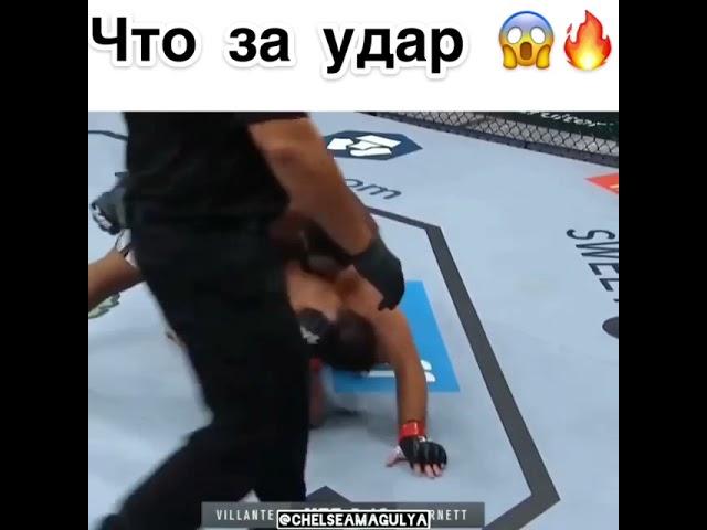Самый упитанный боец UFS сотворил потрясающий нокаут .