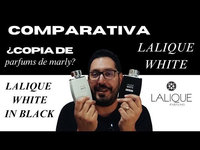 Lalique White y Lalique White in Black, huelen INCREÍBLE