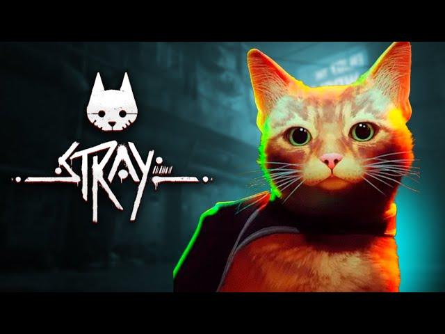 Выгуливаю кота - STRAY ПРОХОЖДЕНИЕ #3