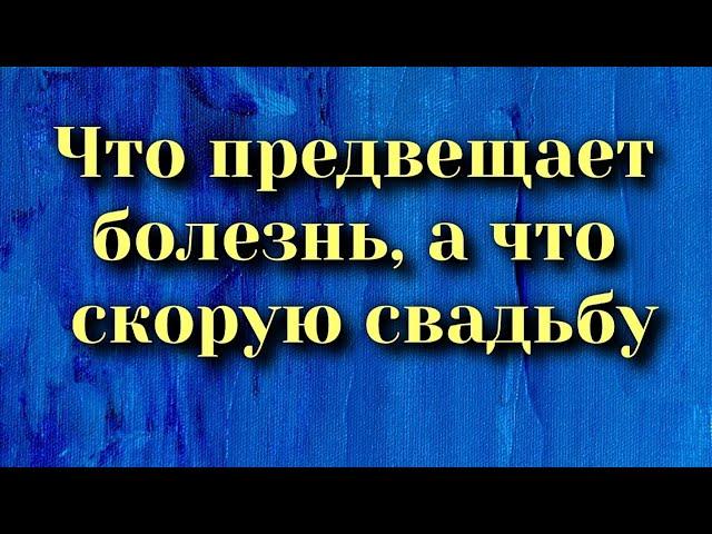 Что предвещает болезнь, а что приход гостей и скорую свадьбу. Народные приметы и суеверия.