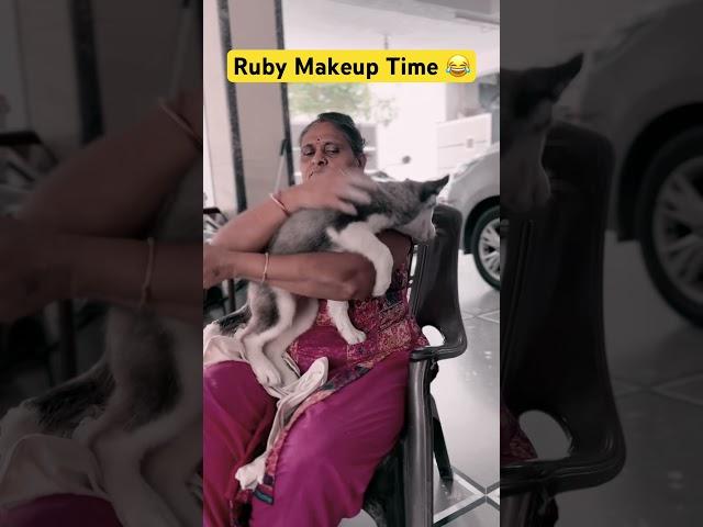 Ruby makeup time  #dogshorts #husky #huskylovers #huskydog #dog #funny #cutepuppy #shortsfeed