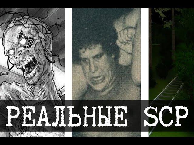 Реальные SCP - 3 (SCP-082, SCP-1176, SCP-2640)