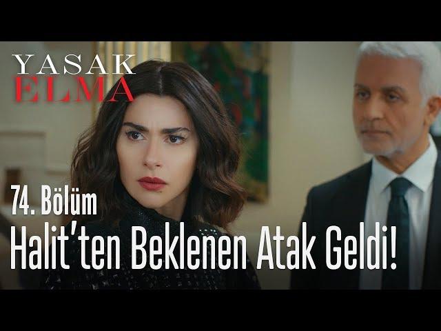 Halit’ten beklenen atak geldi! - Yasak Elma 74. Bölüm