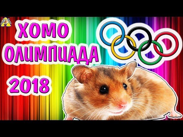ХОМО-ОЛИМПИАДА 2018 НОВЫЙ ЭТАП - ОБЖОРСТВО / сколько ОРЕХОВ влезет в ХОМЯКА / Алиса Изи и мои хомяки