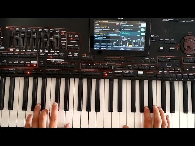 Alex Rasov - Just TO Be in Love / Danekoo1 & Euro Korg Pa4x