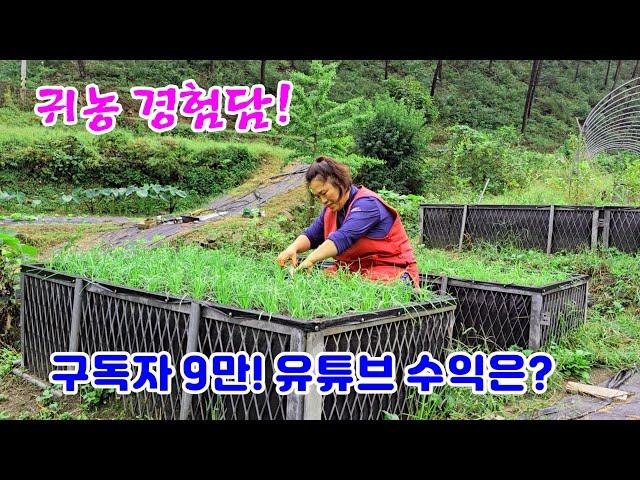 Farming Experience! Mountain Women Subscribers 90,000 YouTuber Income