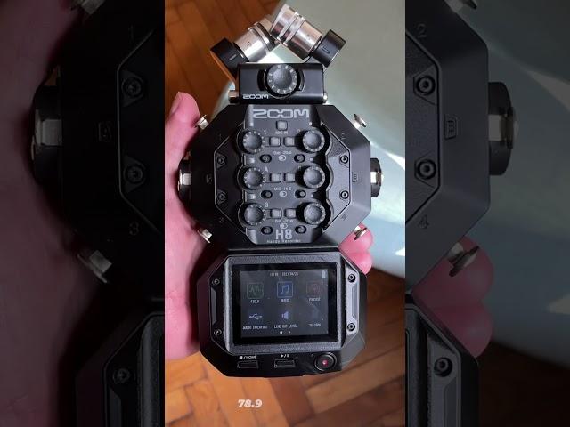 How Big Are They? Zoom H5 vs H8