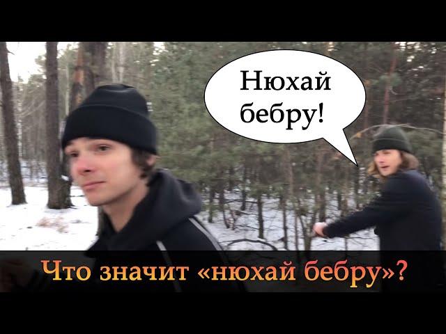 Что значит «нюхай бебру»? Что такое бебра?