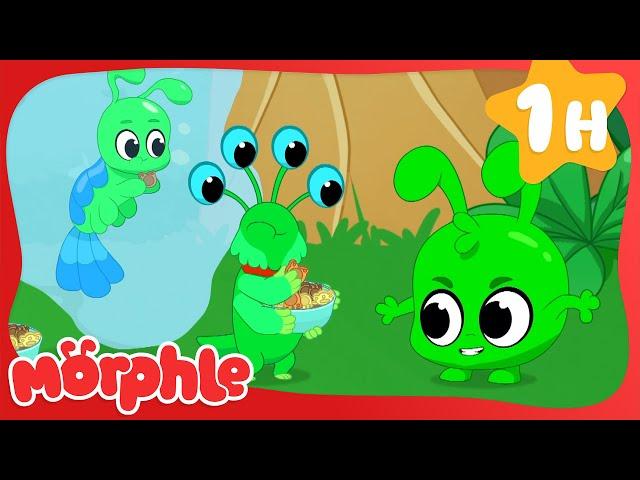 Multiple Orphle Mayhem | Mila and Morphle Cartoons | Morphle vs Orphle - Kids TV Videos