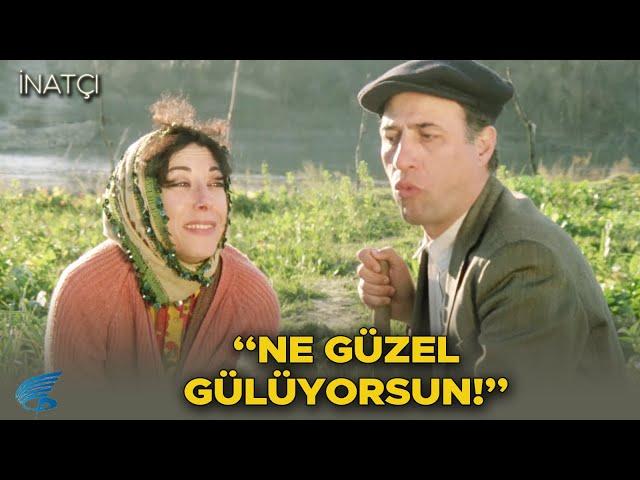 İnatçı Türk Filmi | Ayşen, Bayram'ın Peşinde