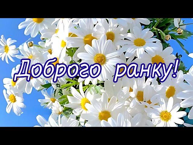 Доброго ранку! Добрий день! Гарного дня! #доброго_ранку