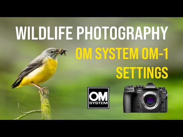 OM System OM-1: Camera Settings for Wildlife Photography