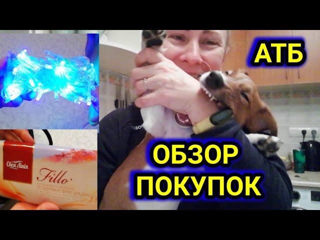 VLOG : АТБ | ОБЗОР ПОКУПОК