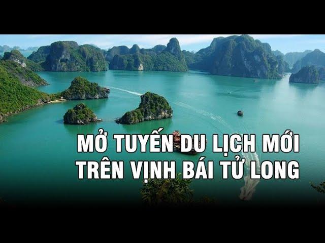 Khảo sát mở tuyến du lịch mới trên vịnh Bái Tử Long