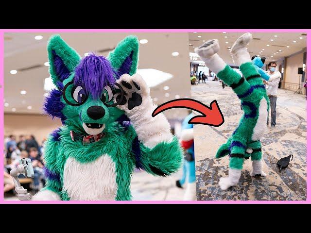 Paw STAND In Fursuit! (TFF 2023)