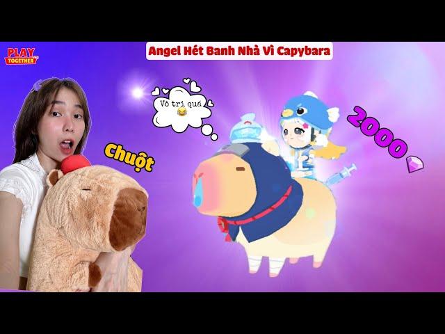 Angel Chi Tiền Bốc Thăm Chuột Capybara Và Cái Kết | Play Together