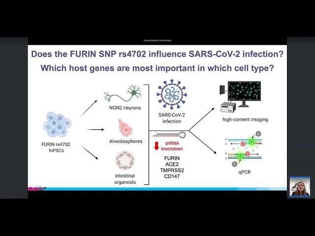 Kristina Dobrindt, PhD: Common human genetic variation impacts in vitro susceptibility to SARS-CoV-2