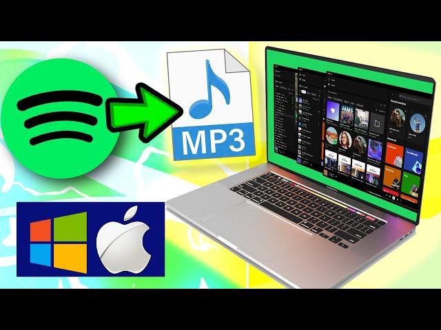 Best Spotify Music Converter to Download True Lossless Songs without Premium - 2024