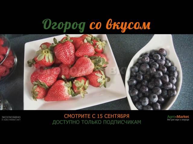 Огород со вкусом. Хотите знать больше? Полезные обзоры