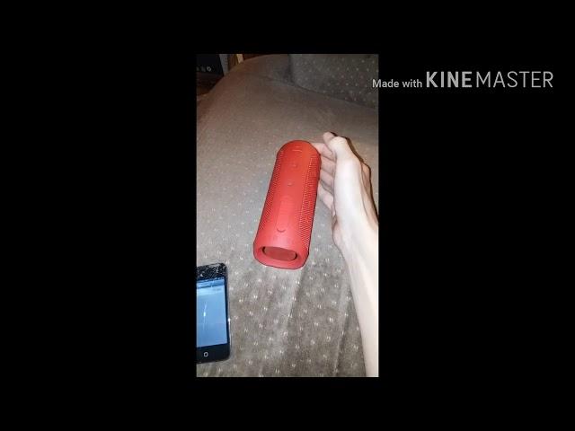 How To Connect a JBL Flip 4 To a Phone