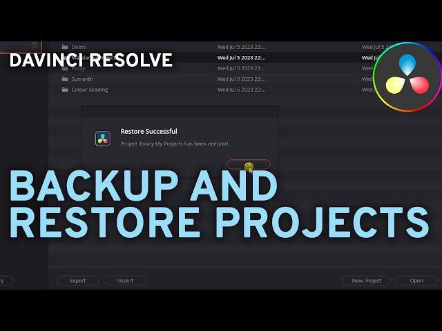 How to backup and restore all projects (without media) in davinci resolve?