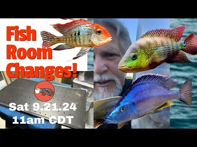 New Fish, Filter & Tank Updates *There's a Lot to Talk About!*  [The Cichlids & Coffee Live Stream!]