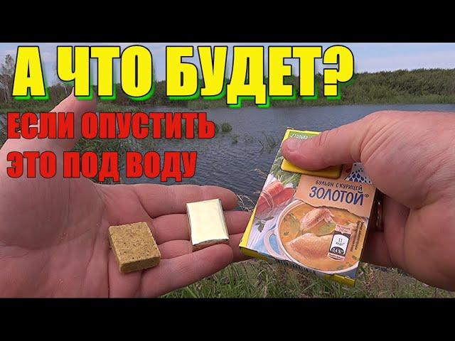 Реакция рыбы на КУРИНЫЕ КУБИКИ!!! Подводные съёмки.