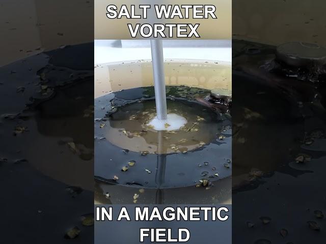 Water Vortex in a Magnetic Field