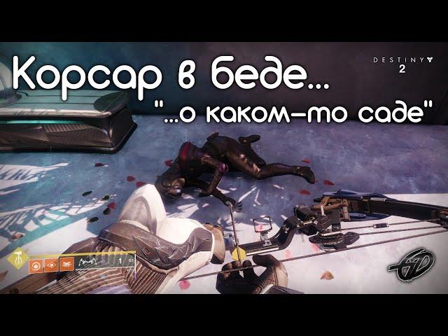 Корсар в беде...о каком-то саде • 5 мест • Destiny 2