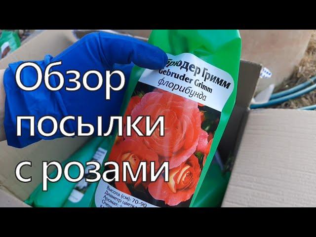Распаковка посылки из Екатерининского питомника растений.