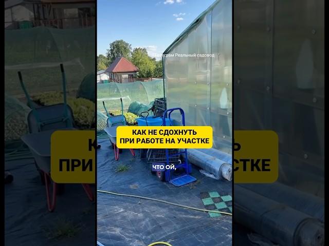 Тг канал Реальный садовод #питомникрастений